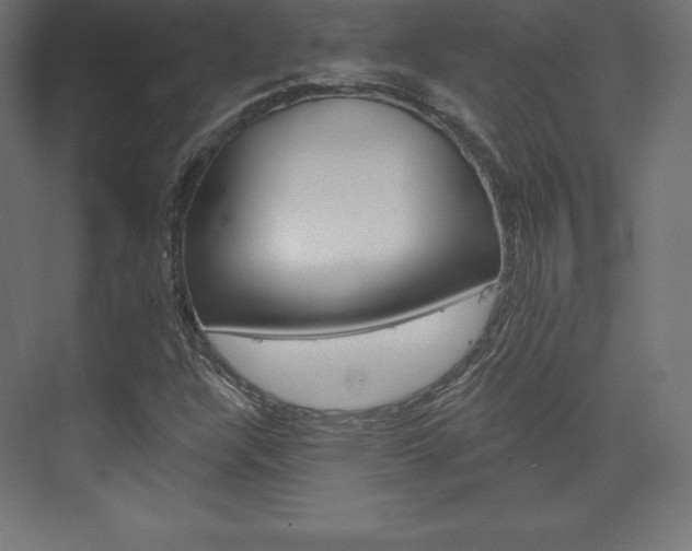 X0000073951304200608210932