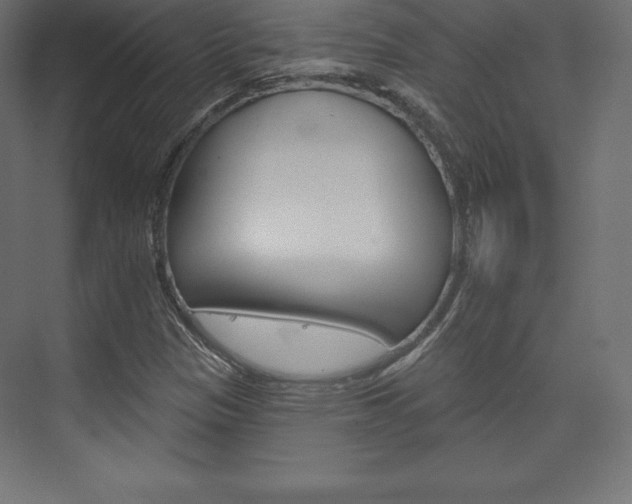 X0000073951305200608210932