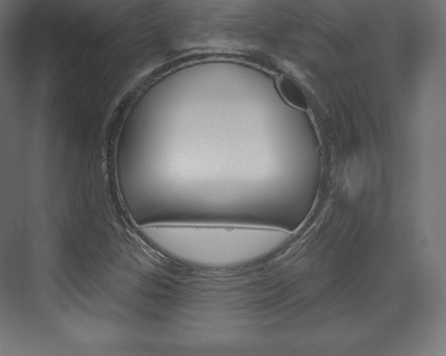 X0000073951307200608210932