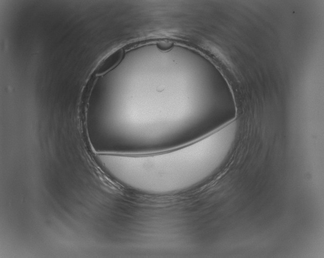 X0000073951308200608210932