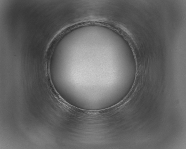 X0000073951310200608210932