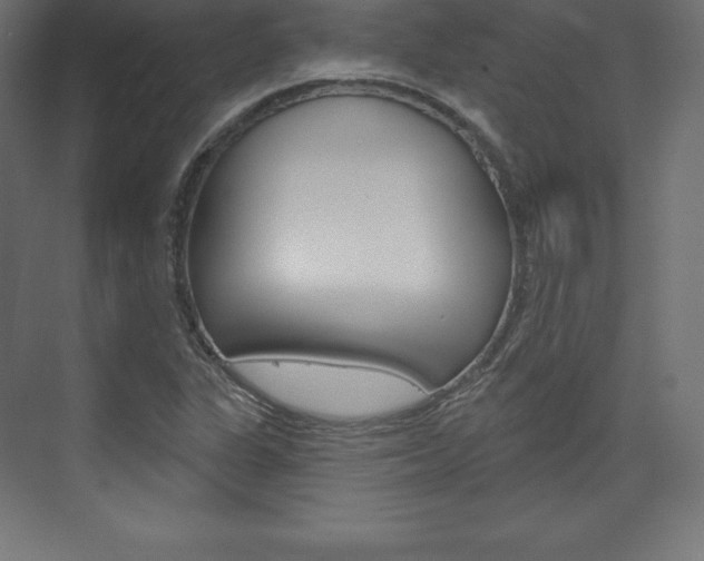 X0000073951311200608210932