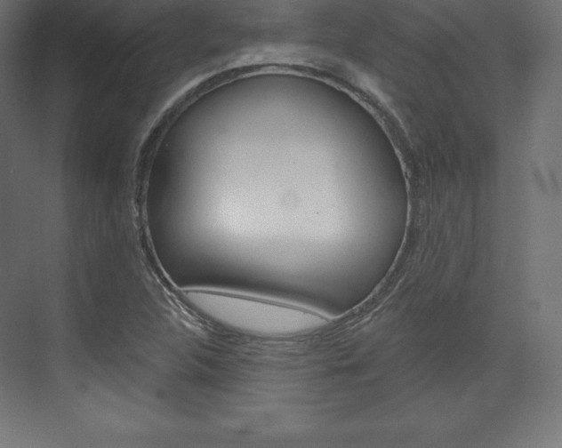 X0000073951312200608210932
