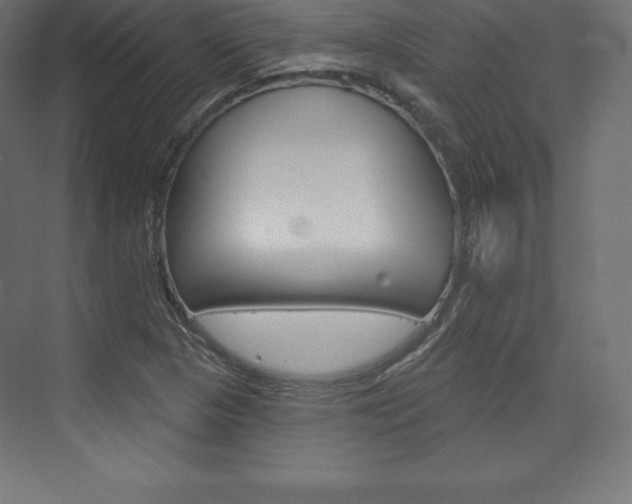 X0000073951313200608210932