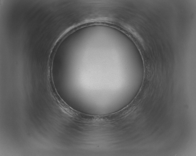 X0000073951316200608210932