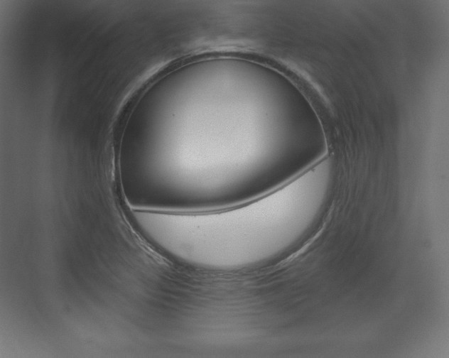 X0000073951317200608210932