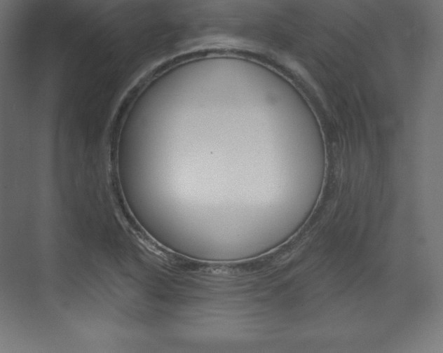 X0000073951318200608210932