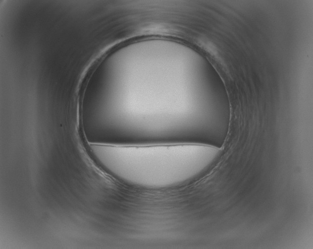 X0000073951323200608210932