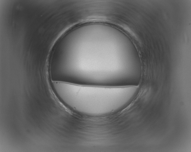 X0000073951325200608210932