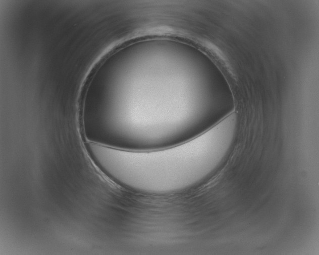 X0000073951326200608210932
