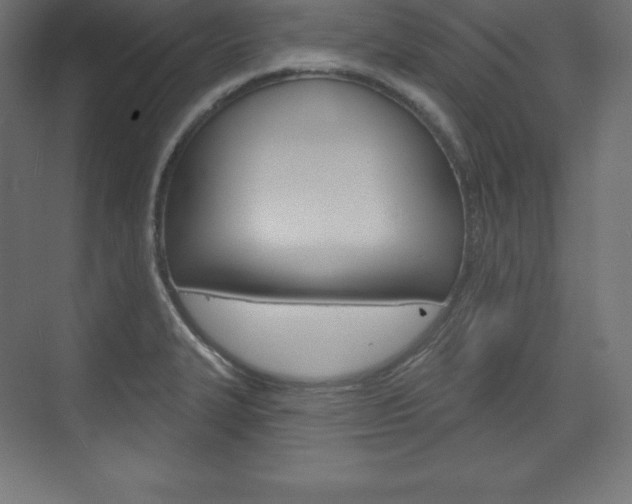 X0000073951327200608210932