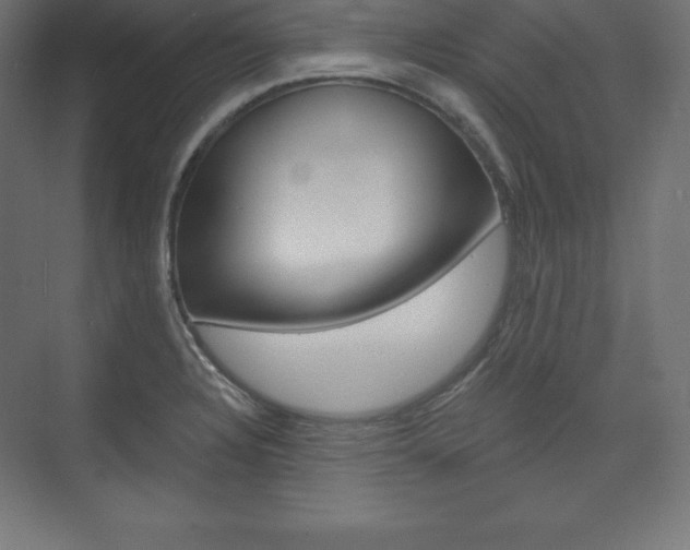 X0000073951328200608210932
