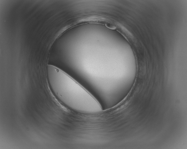 X0000073951329200608210932