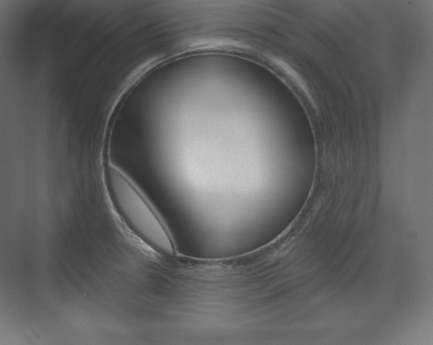 X0000073951330200608210932