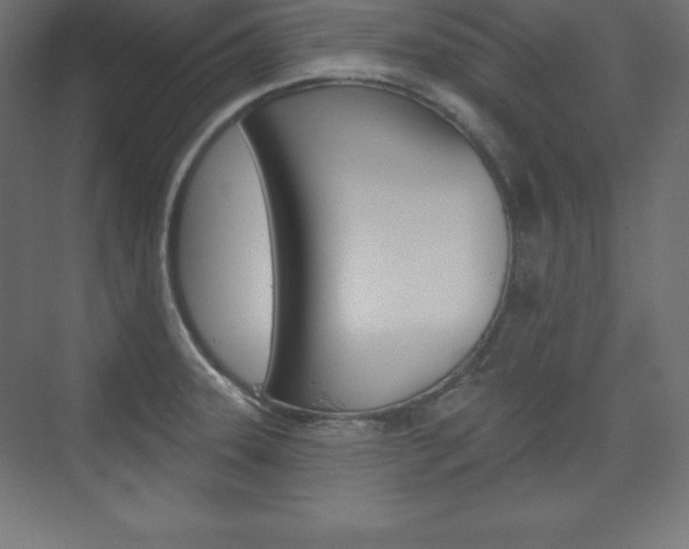 X0000073951331200608210932