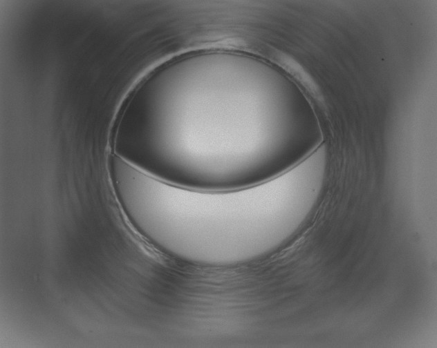 X0000073951332200608210932