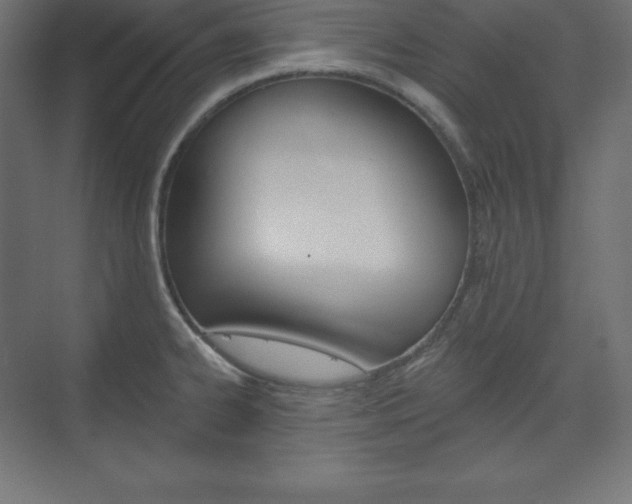 X0000073951334200608210932