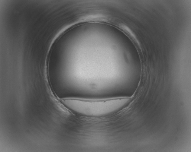 X0000073951336200608210932