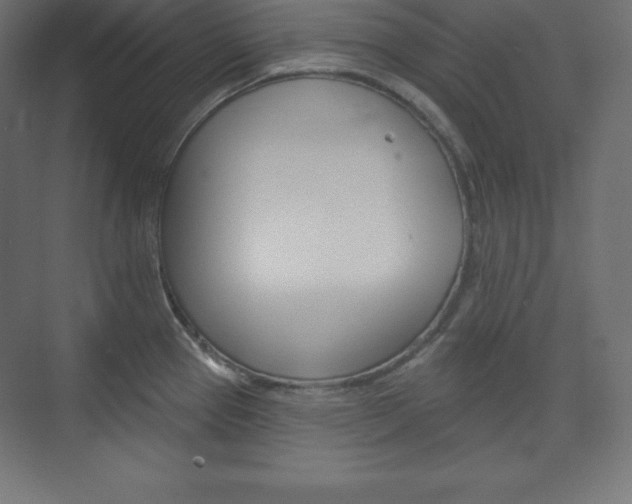 X0000073951337200608210932