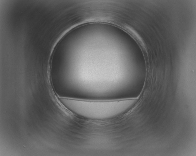 X0000073951340200608210932