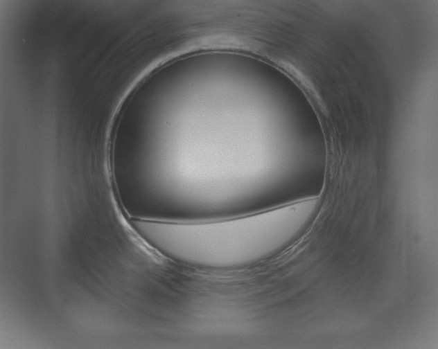 X0000073951342200608210932