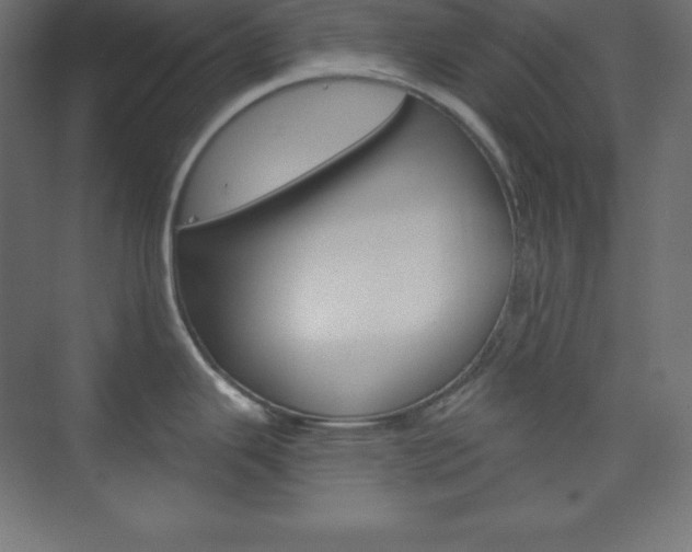 X0000073951343200608210932