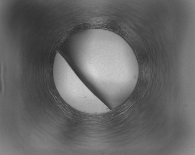 X0000073951346200608210932