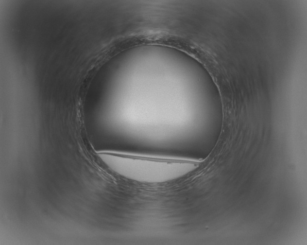 X0000073951349200608210932
