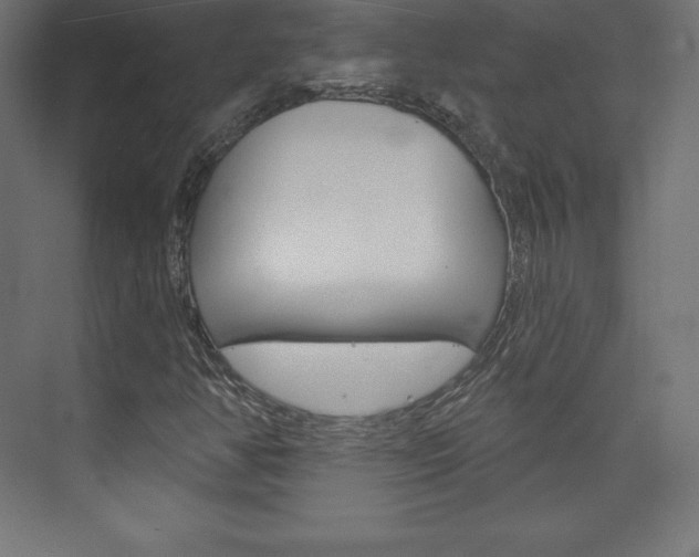 X0000073951350200608210932