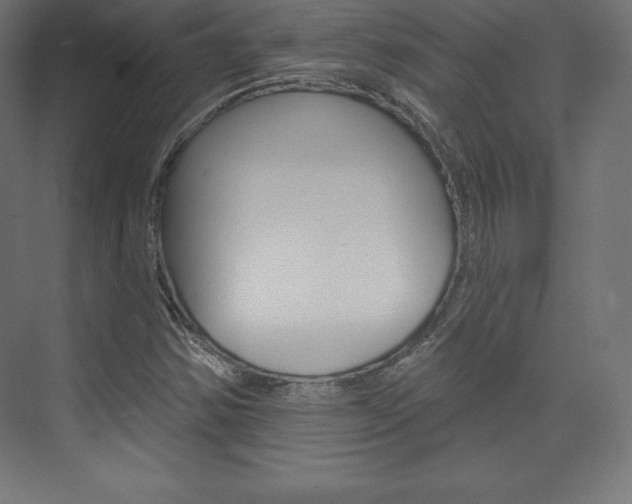 X0000073951354200608210931