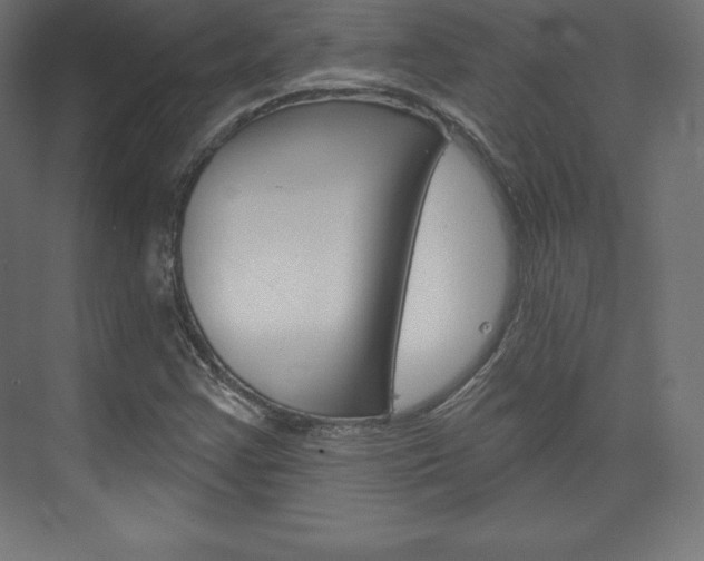 X0000073951355200608210931