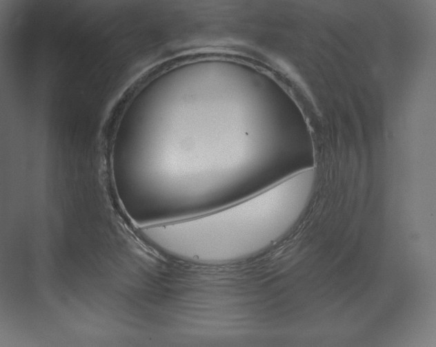 X0000073951360200608210931