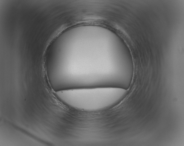 X0000073951362200608210931