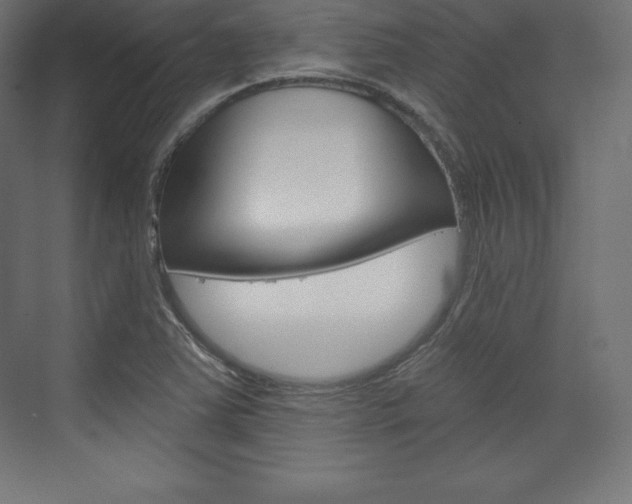 X0000073951363200608210931