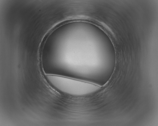 X0000073951364200608210931