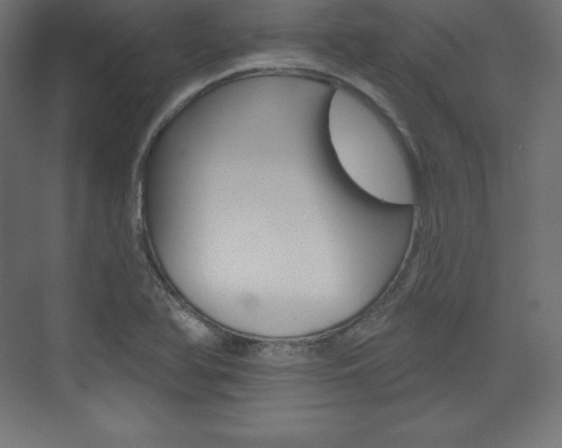 X0000073951366200608210931