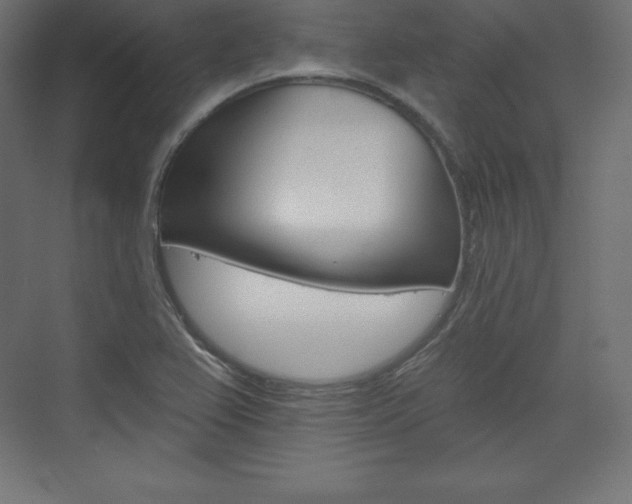 X0000073951367200608210931