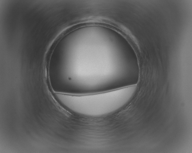 X0000073951368200608210931