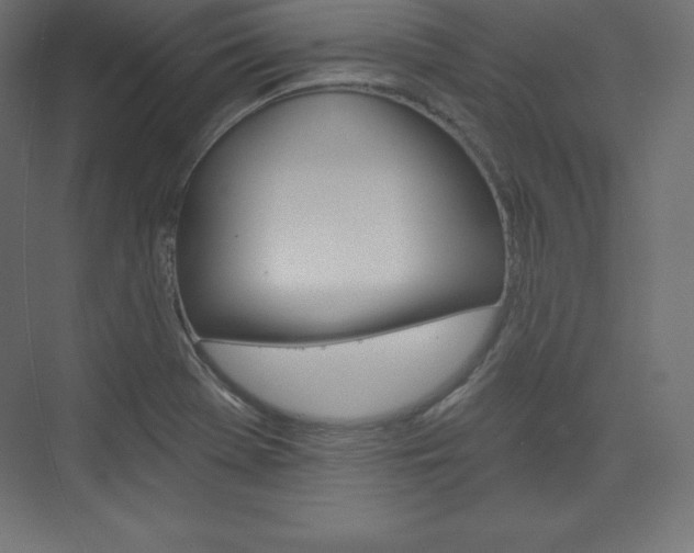 X0000073951369200608210931