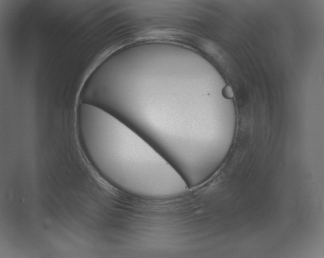X0000073951370200608210931