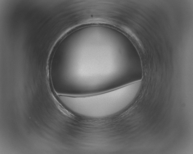 X0000073951372200608210931