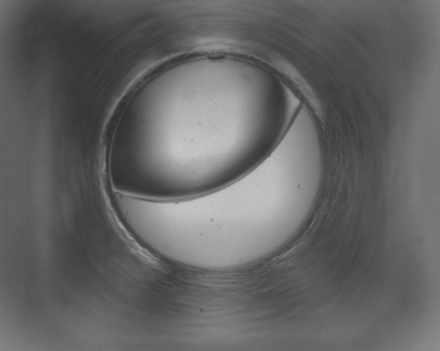 X0000073951376200608210931