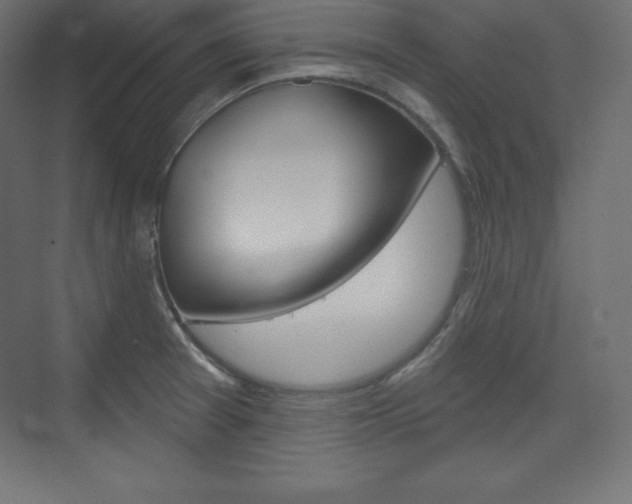 X0000073951377200608210931
