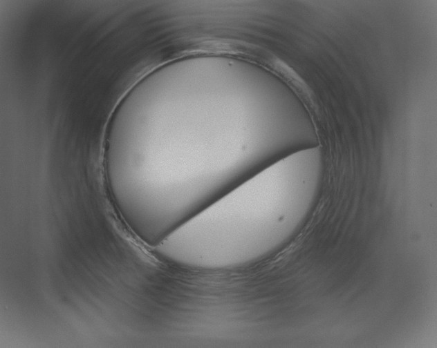 X0000073951378200608210931