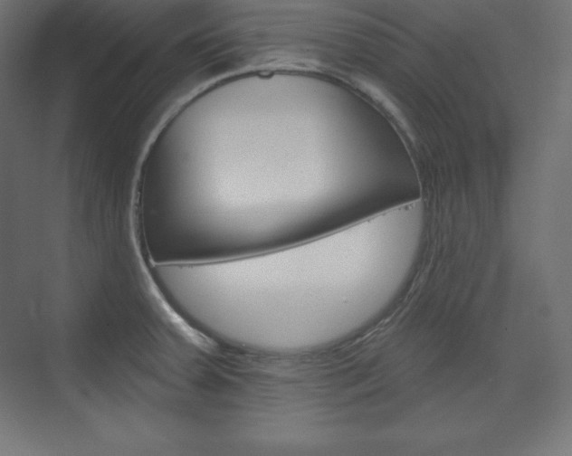 X0000073951379200608210931