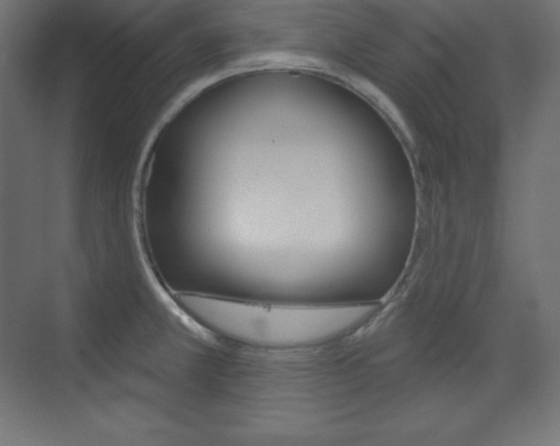 X0000073951381200608210931