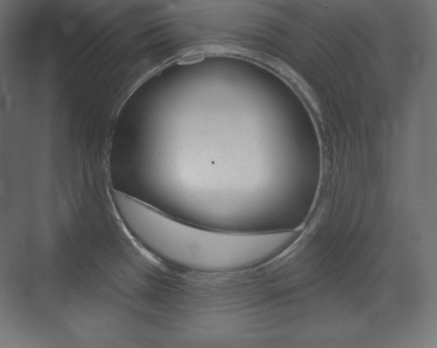X0000073951385200608210931