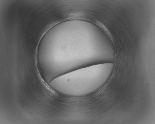 X0000073951386200608210931