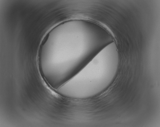 X0000073951387200608210931