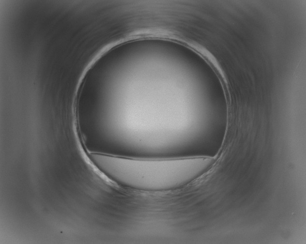 X0000073951389200608210931